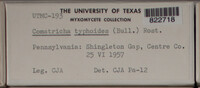 Image Associated With the Occurence